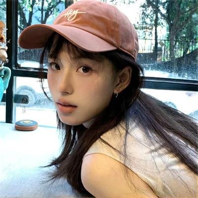 燕子盗